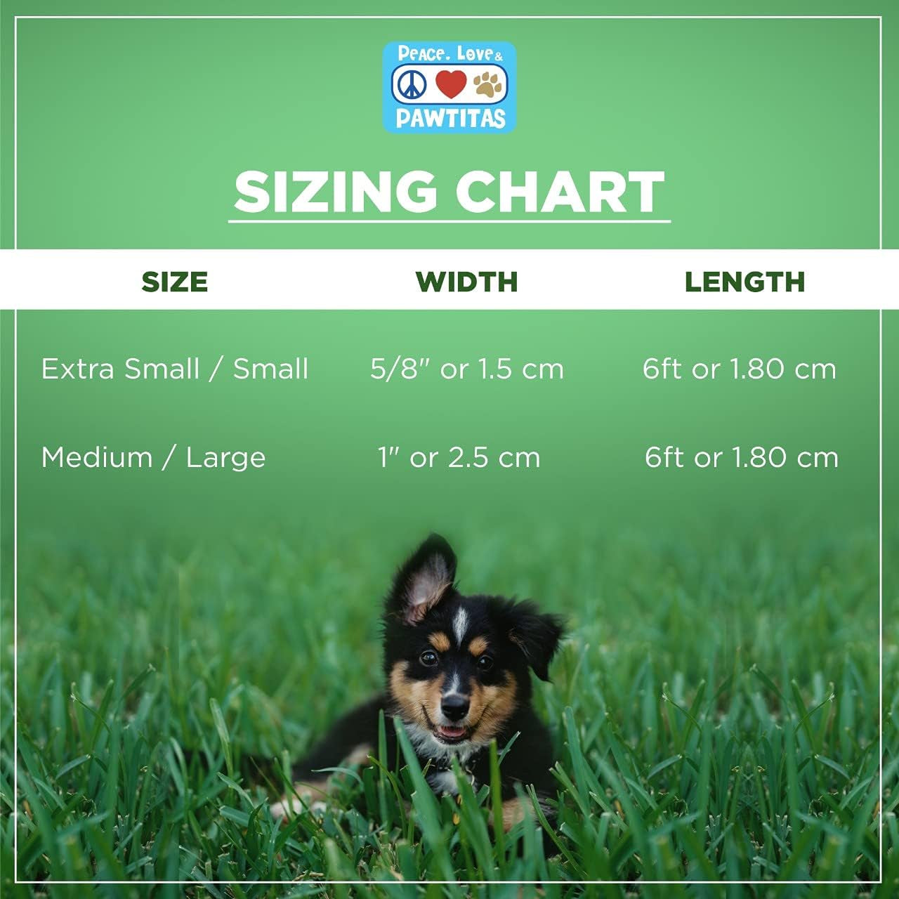 6 Foot Reflective Dog Leash, Extra Small 