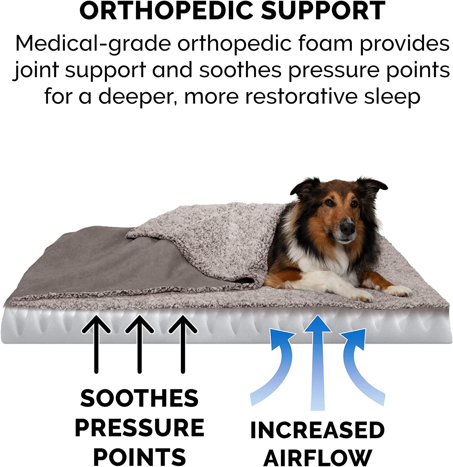 Orthopedic Dog Bed for Small/Medium Dogs With Removable Washable Cover