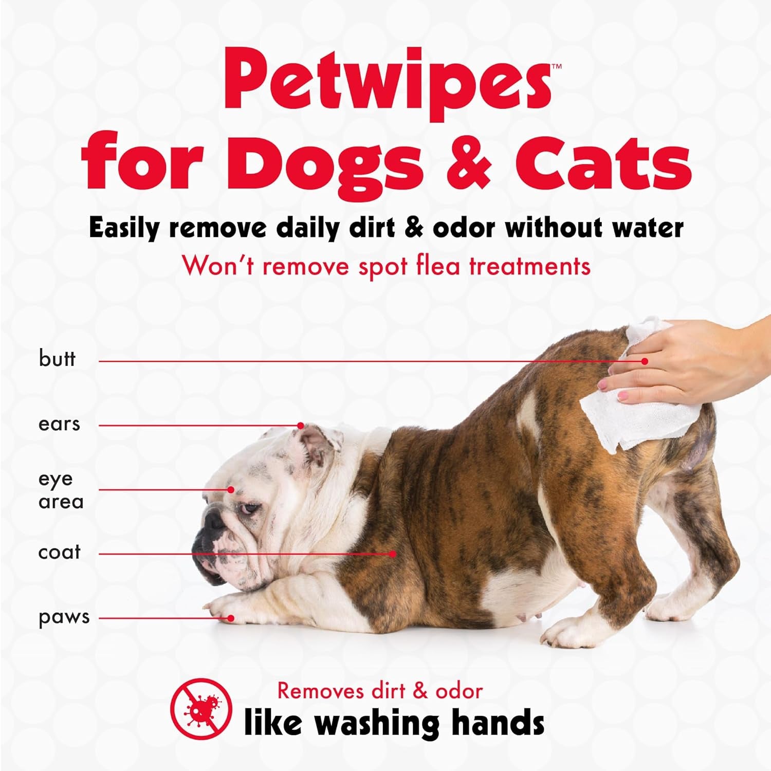 Pet Wipes for Dogs and Cats, 200 Large Wipes - Removes Dirt & Odors - Cleans Ears, Face ect.