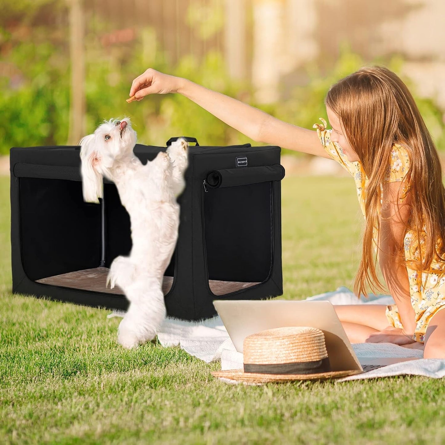 Portable Soft Dog Crate - 24 Inch Easy Set-Up, Light, Sturdy, Collapsible Crate for Home and Travel Black